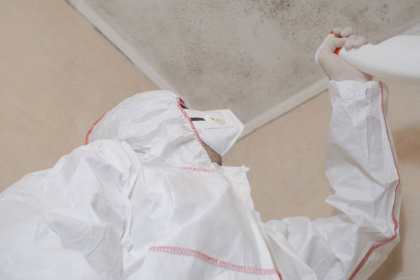 Best Home Mold Removal  in Bossier City, LA